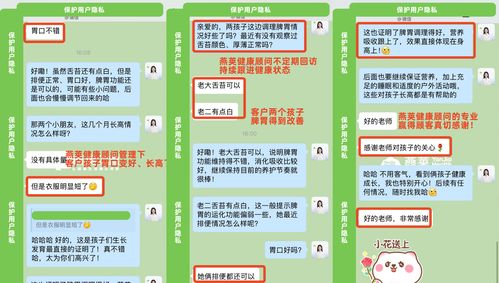 燕莢三大核心優勢，鑄就品牌硬實力——招生輔助服務的卓越之道